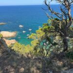 El Baix Empordà treballa la gestió del litoral per equilibrar la presència d’embarcacions, banyistes i activitats nàutiques