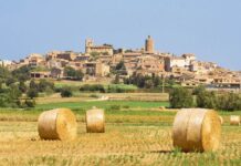 Pals aprova inicialment un nou pla urbanístic que susbtitueix l’anterior, de 1986