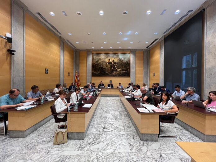 ple diputació de girona