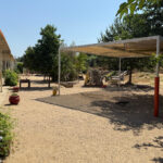 D’escola de màxima complexitat a no tenir prou lloc per l’alta demanda; el model d’èxit de l’Empordanet de la Bisbal escola empordanet