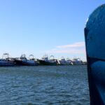 privat:-el-ministeri-d’agricultura-premia-l’us-de-portes-voladores-a-l’arrossegament-amb-2.200-dies-mes-de-pesca