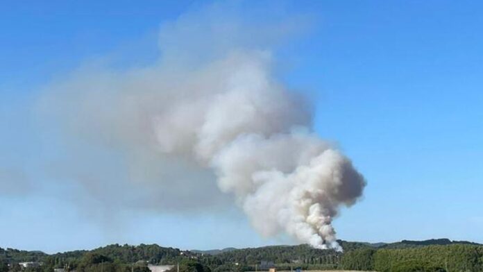 privat:-un-incendi-empes-pel-vent-crema-una-zona-de-bosc-de-palamos-i-mont-ras