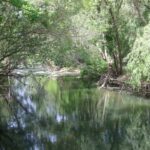El Govern proposa dividir l’aqüífer del Fluvià Muga per ajustar les restriccions a la realitat hídrica de cada zona privat:-surt-a-informacio-publica-la-divisio-de-l’aquifer-del-fluvia-muga-per-millorar-la-gestio-de-l’aigua-en-cas-de-sequera