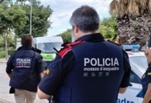 Els Mossos d’Esquadra reforçaran la lluita contra el crim organitzat relacionat amb la marihuana a les comarques gironines privat:-els-mossos-d’esquadra-i-la-policia-local-de-palafrugell-detenen-un-home-per-cometre-46-delictes-contra-els-drets-dels-ciutadans-estrangers-i-la-falsificacio-de-contractes-de-lloguer