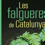 privat:-novetat-editorial:-“les-falgueres-de-catalunya”,-de-llorenc-saenz-gonyalons