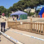 privat:-neixen-les-primeres-25-tortugues-a-la-platja-de-sant-feliu-de-guixols