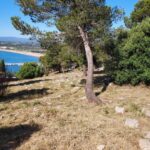 privat:-nova-campanya-de-manteniment-de-franges-perimetrals-de-seguretat-contra-incendis-a-torroella-i-a-l’estartit