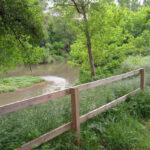 privat:-es-recupera-l’espai-fluvial-del-riu-ter-al-seu-pas-per-jafre,-rehabilitant-un-brac-que-millora-el-pas-de-l’aigua-i-la-diversitat-d’habitats