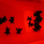 privat:-sant-feliu-tanca-el-pas-de-la-tortuga-dalmata-amb-48-noves-cries