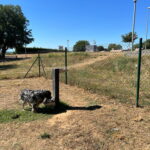 privat:-taller-gratuit-d’educacio-canina-a-forallac-els-dies-6-i-13-de-setembre