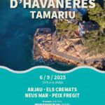 privat:-tamariu-acomiada-l’estiu-a-ritme-d’havaneres-i-cremat-popular