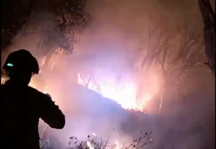 WhatsApp Image 2025-08-26 at 08.33.37 incendi sant feliu de guíxols