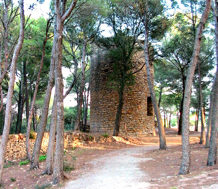 torre mora pals
