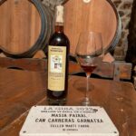 Un vi del Empordà, del celler Martí Fabra, el millor de Catalunya