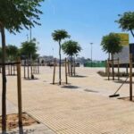 privat:-palamos-repren-les-obres-del-passeig-del-mar-aturades-a-mitjans-agost