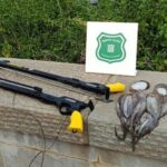 privat:-denuncien-un-home-a-sant-feliu-per-pescar-quatre-pops-roquers-en-epoca-de-veda