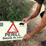 privat:-els-cacadors-gironins-preveuen-una-temporada-amb-mes-senglars-per-les-pluges-abundants