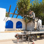 L’Ajuntament de Palamós retira les bigues de fusta de l’escenari del parc de l’Arbreda per seguretat privat:-es-retira-l’entramat-de-biga-decorativa-ubicat-a-l’escenari-de-l’arbreda-de-palamos