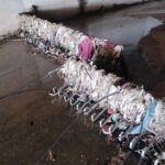 privat:-sant-feliu-valora-molt-positivament-l’us-de-grapes-per-protegir-el-medi-ambient-despres-d’un-any-de-la-installacio