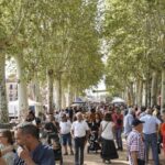 privat:-la-bisbal-celebra-la-diada-amb-la-37a-fira-de-brocanters-i-un-programa-d’activitats