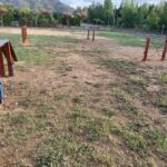 privat:-s’installa-un-nou-circuit-d’agility-per-a-gossos-als-jardins-de-santa-clara,-impulsat-pel-consell-municipal-d’infants