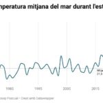privat:-un-juny-i-juliol-de-record-eleven-la-temperatura-del-mar-a-l’estiu-2oc-per-sobre-de-la-mitjana