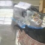 privat:-aturen-un-camioner-a-l’area-del-girones-de-l’ap-7-i-li-troben-mes-de-350-quilos-de-cocaina-i-haixix-entre-la-carrega