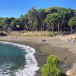 privat:-sos-costa-brava-i-iaeden-convoquen-una-concentracio-a-la-farella-per-frenar-la-destruccio-de-la-darrera-pineda-litoral-de-llanca