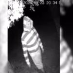 privat:-la-protectora-d’animals-de-palafrugell-denuncia-quatre-robatoris-“en-poc-temps”-i-reclama-mes-accio-policial