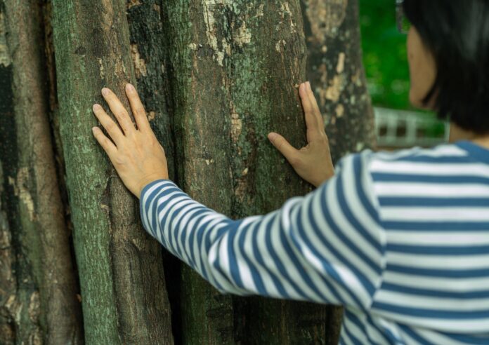 “Cuidem-nos!”, un programa per a la promoció de la salut i el benestar a Calonge i Sant Antoni
