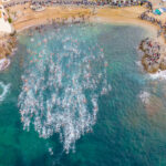 Més de 2.000 nedadors participaran a la Travessia Radikal ocean52 aquest octubre a Calella i Llafranc radikal swim