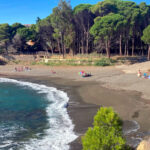 Un juny i juliol de rècord eleven la temperatura del mar a l’estiu 2ºC per sobre de la mitjana temperatura mar