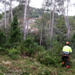 El Govern preveu que tots els municipis obligats a tenir plans de prevenció d’incendis els tinguin aprovats l’any que ve