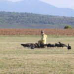 Arriben 29 ibis ermitans als aiguamolls de l’Empordà dins d’una campanya migratòria assistida que ve d’Àustria