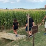 Un pagès del Baix Empordà aconsegueix la meitat dels ingressos d’un camp de blat de moro amb un laberint per a turistes