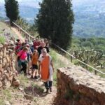 El 25è Cap de Setmana Ibèric celebra la riquesa arqueològica dels jaciments catalans