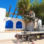 privat:-es-retira-l’entramat-de-biga-decorativa-ubicat-a-l’escenari-de-l’arbreda