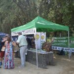 privat:-es-porten-a-terme-dues-propostes-que-es-van-presentar-a-la-girocaca-2025-de-santa-cristina