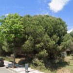 privat:-creu-que-li-ha-robat-el-mobil-i-crema-una-caseta-amb-un-altre-indigent-dins-a-platja-d’aro