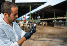 Agricultura rep l’autorització de la Comissió Europea per vacunar de la dermatosi nodular a 22 comarques de Catalunya privat:-comenca-la-vacunacio-contra-la-dermatosi-nodular-contagiosa-a-les-granges-de-l’alt-emporda