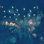 privat:-un-estudi-assenyala-l’impacte-“positiu”-que-tenen-els-camps-de-boies-per-a-la-fauna-i-la-flora-del-litoral-de-l’emporda