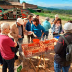 privat:-catalunya-celebra-la-setmana-bio-amb-mes-de-450-activitats