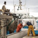 El Departament d’Agricultura paga 5,9 MEUR pendents d’ajudes al sector pesquer privat:-palamos-acull-una-jornada-per-debatre-el-futur-de-la-pesca-al-mediterrani