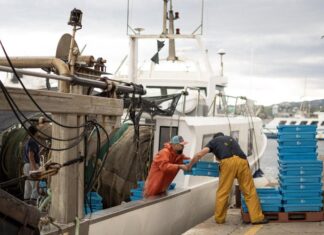 El Departament d’Agricultura paga 5,9 MEUR pendents d’ajudes al sector pesquer privat:-palamos-acull-una-jornada-per-debatre-el-futur-de-la-pesca-al-mediterrani