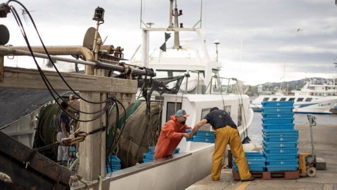 privat:-palamos-acull-una-jornada-per-debatre-el-futur-de-la-pesca-al-mediterrani