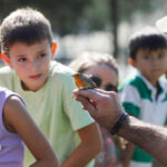 privat:-celebracio-del-dia-mundial-dels-ocells