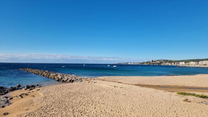 privat:-apareix-un-home-mort-en-una-platja-de-sant-antoni