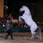 privat:-la-631a-fira-de-sant-andreu-de-torroella-de-montgri-se-celebrara-sense-animals-a-causa-de-la-dermatosi-nodular-contagiosa