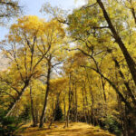 privat:-la-generalitat-impulsa-la-bioeconomia-amb-269-milions-d’euros