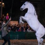 privat:-la-fira-de-sant-andreu-de-torroella-se-celebrara-sense-animals